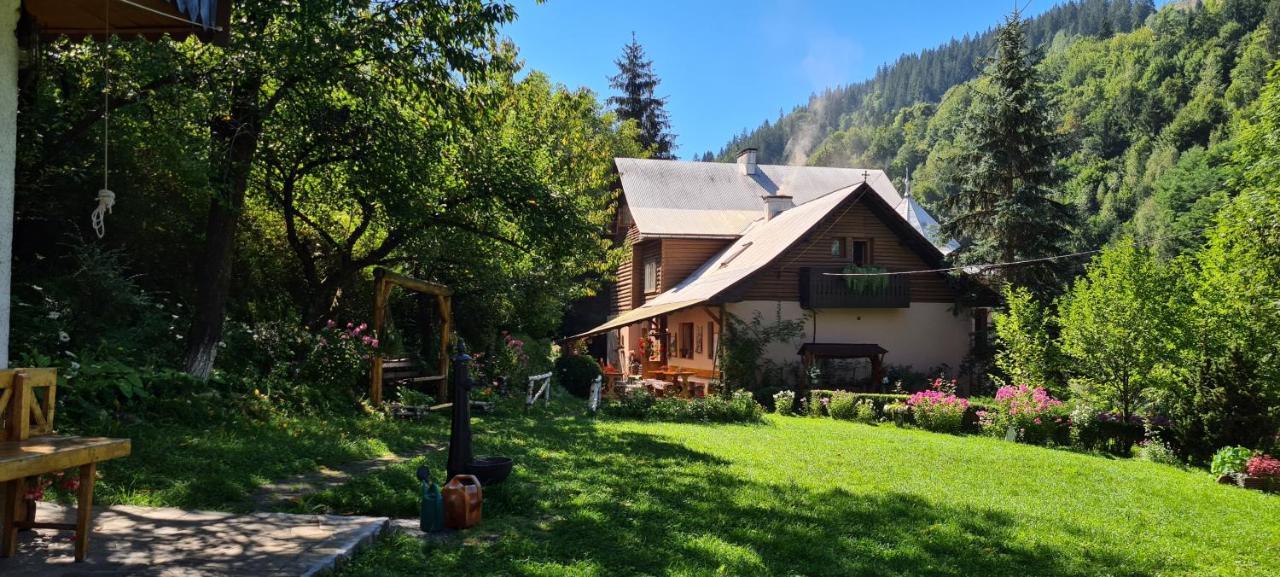 Pensiunea Aurora Albac Exterior foto