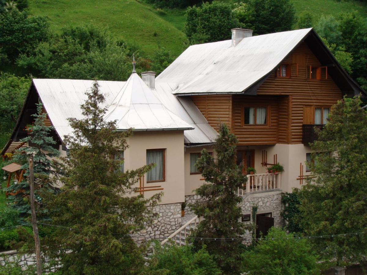 Pensiunea Aurora Albac Exterior foto