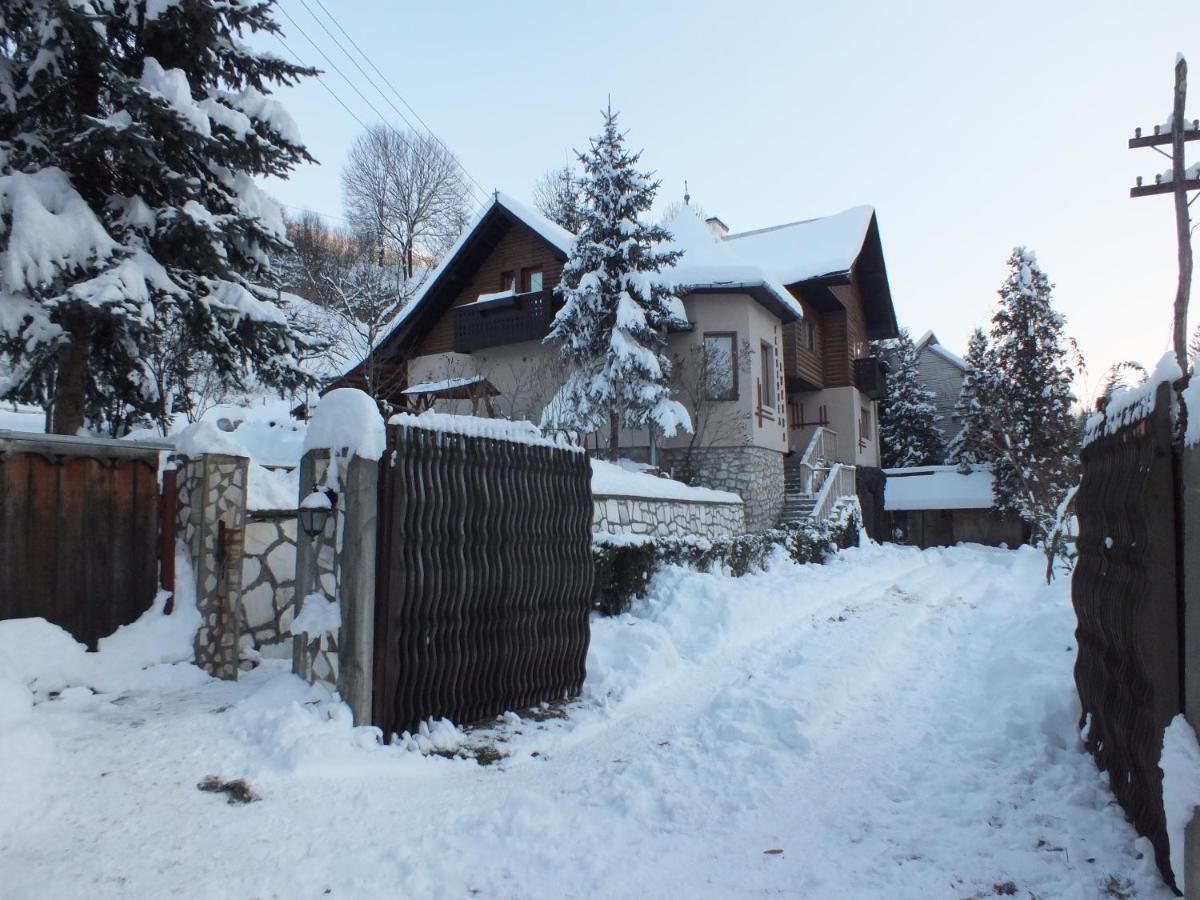 Pensiunea Aurora Albac Exterior foto