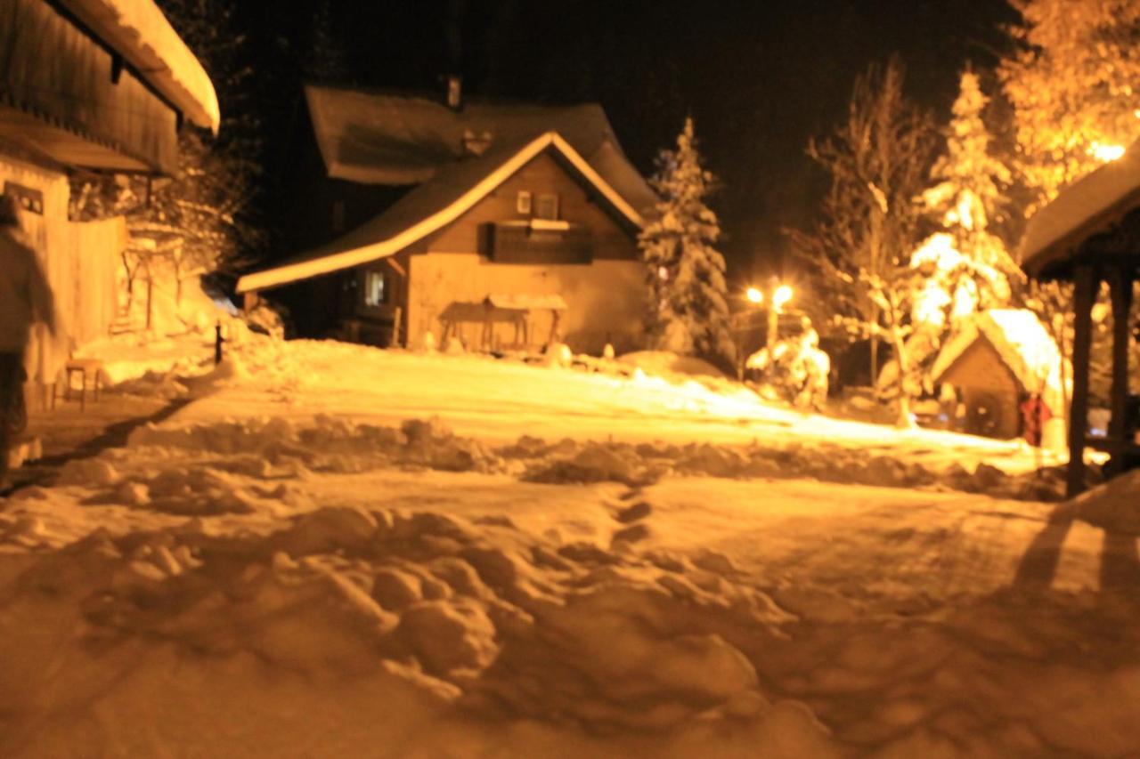Pensiunea Aurora Albac Exterior foto