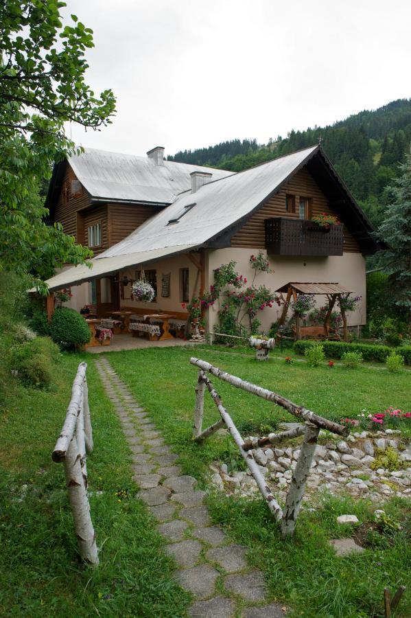 Pensiunea Aurora Albac Exterior foto