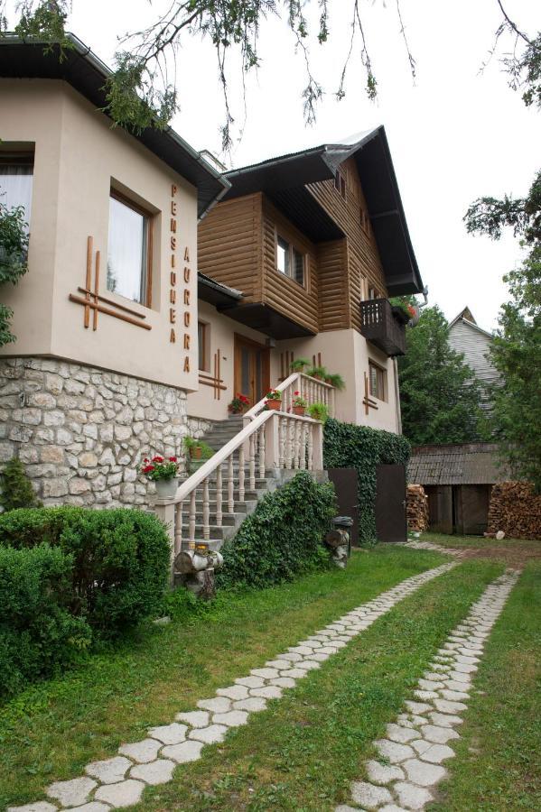 Pensiunea Aurora Albac Exterior foto