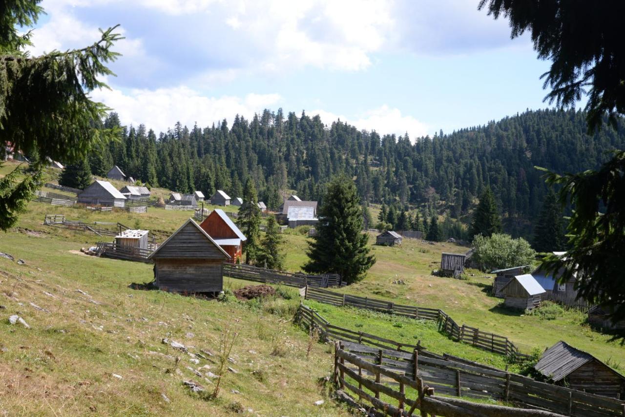 Pensiunea Aurora Albac Exterior foto
